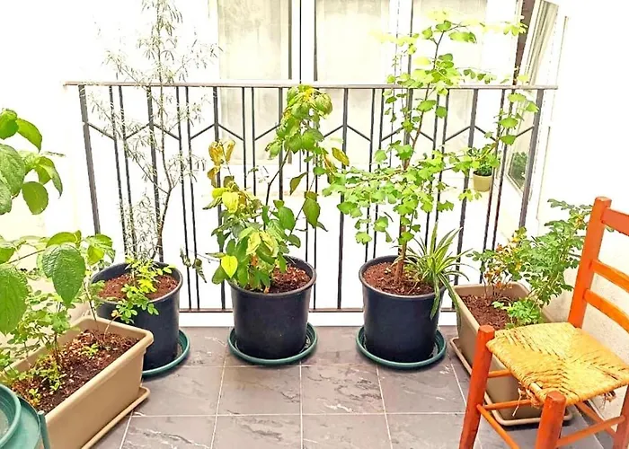 Piedaterre Super Strategico In Pieno Centro Storico - Stazione 2' Apartment Trient